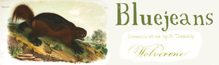 Illustration for article titled Whiskey made me amazing logos!!!!!!
